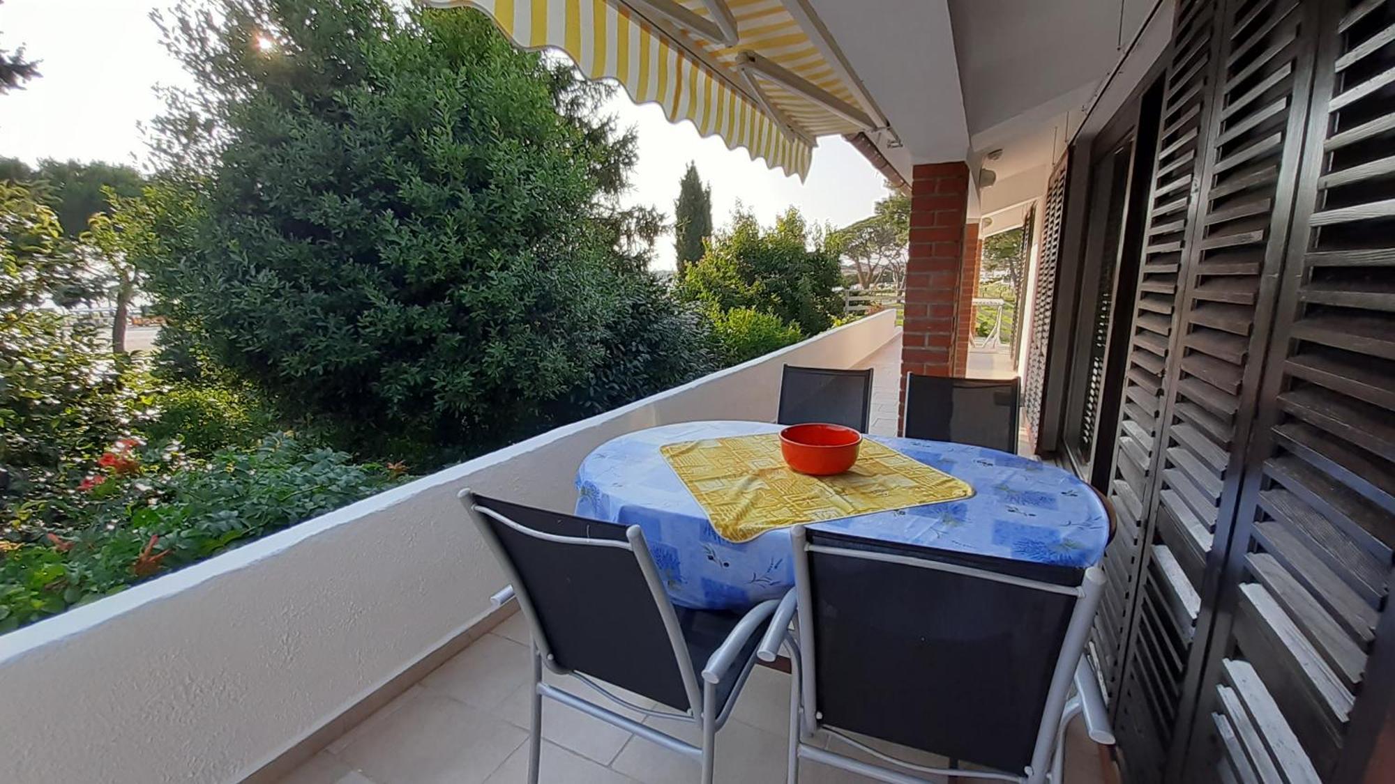 Murin Delfin Apartmán